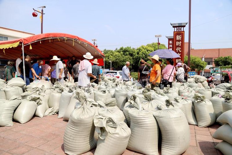 农产品收购市场观察:信息不对等与优化路径